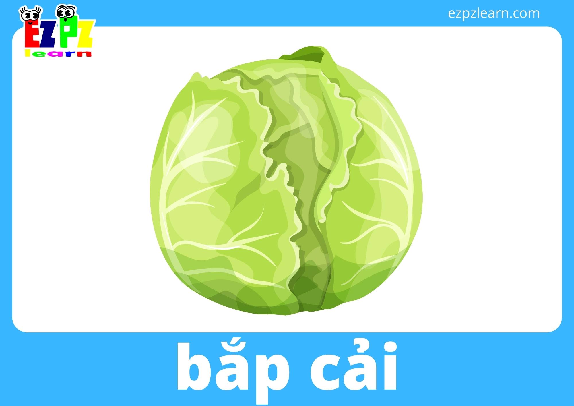 bắp cải